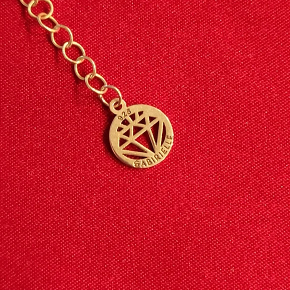 Gabi Riella Carabiner Necklace with ONE locket only New Jewelry